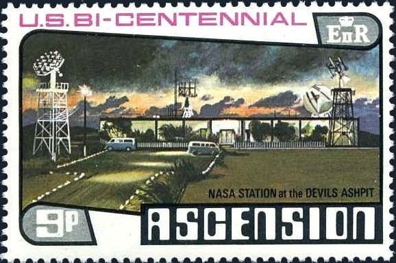 Tuna (Opuntia wentiana)