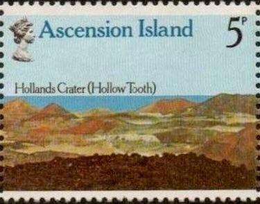 Migratory Species : Green Turtle