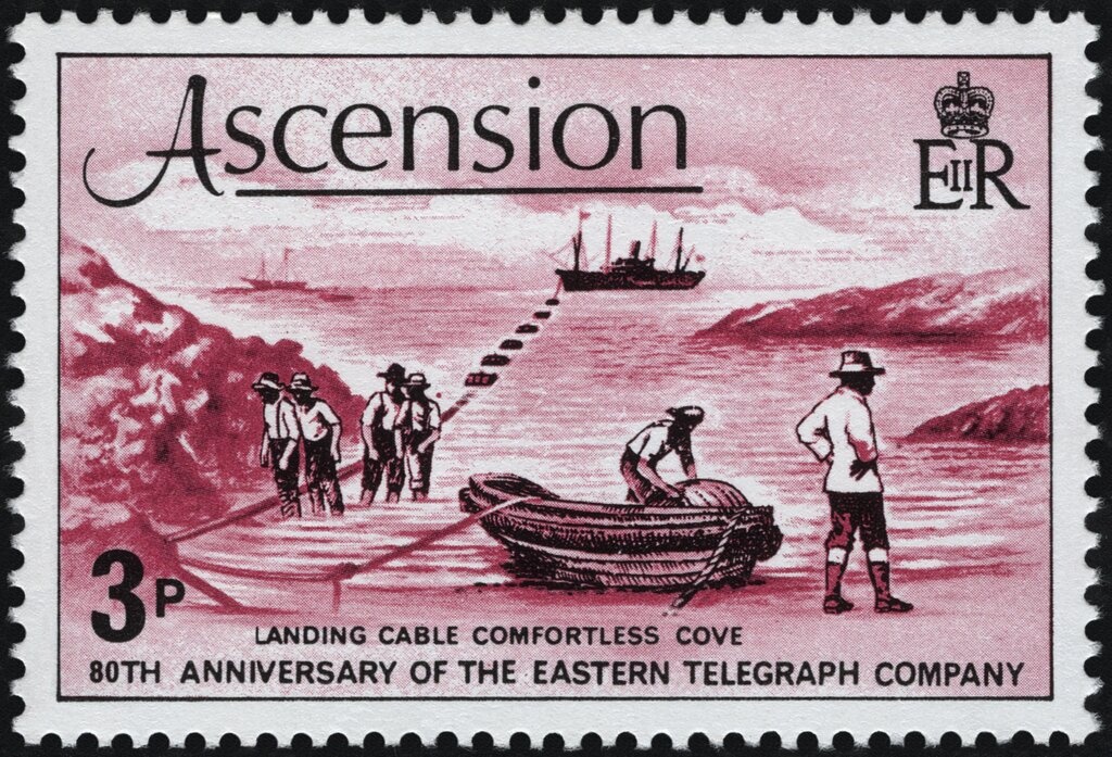 Ascension Frigatebird (Fregata aquila)