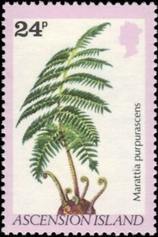 Maastricht Paper Money Fair