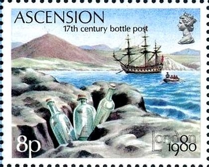 Migratory Species : Hawksbill Turtle