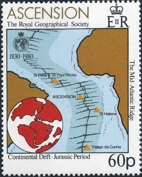 Banded Tube-dwelling Anemone (Isarachnantus maderensis)