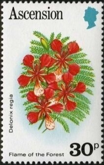 Cawaraspano (Cordia sebestena)