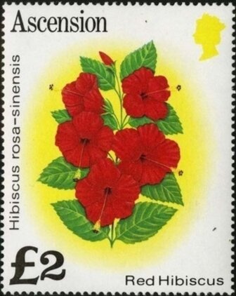 ANZAC- Simpson & Donkey