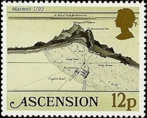 Common Buckeye (Junonia coenia coenia)