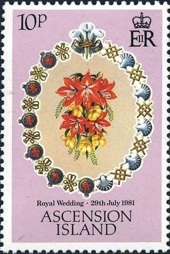 Medlar (Mespilus sp.) and Persian Walnut (Juglans regia)