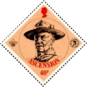 Two-spotted Cricket (Gryllus bimaculatus)