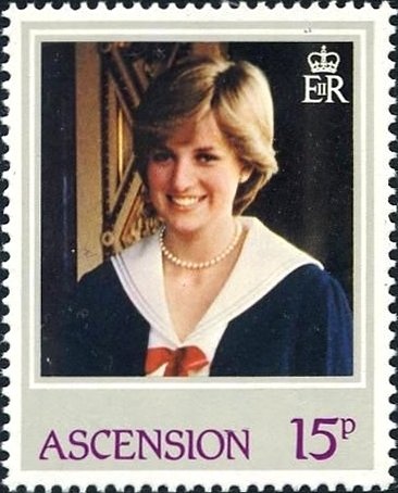 Donkey (Equus asinus asinus)