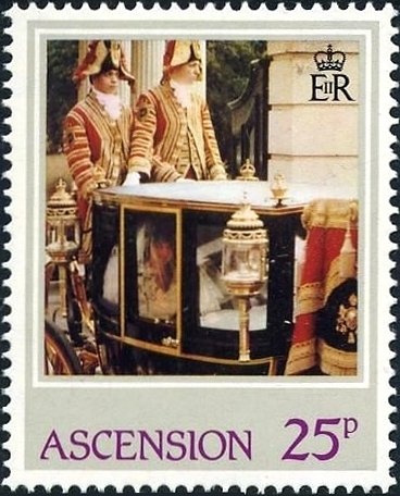 Gervais's Beaked Whale (Mesoplodon europaeus)