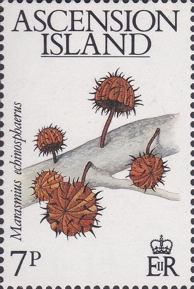 National Archaeological Museum