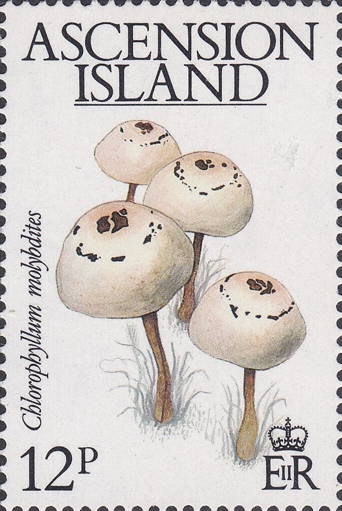 Aruba, the 162nd member of the IOC