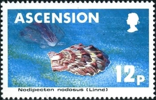 HMS Rattlesnake (1868)