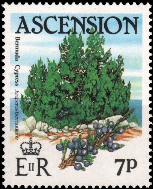 5th anniversary of Independence