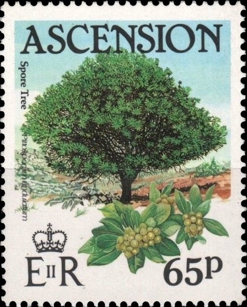 King George V - recess printed