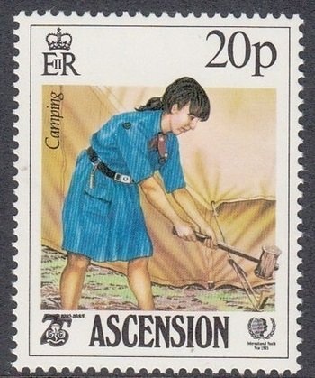 Venezuelan Troupial (Icterus icterus)