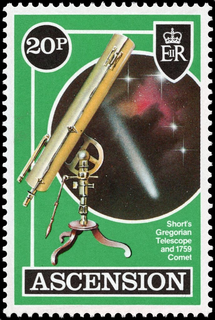 Red-footed booby (Sula sula)