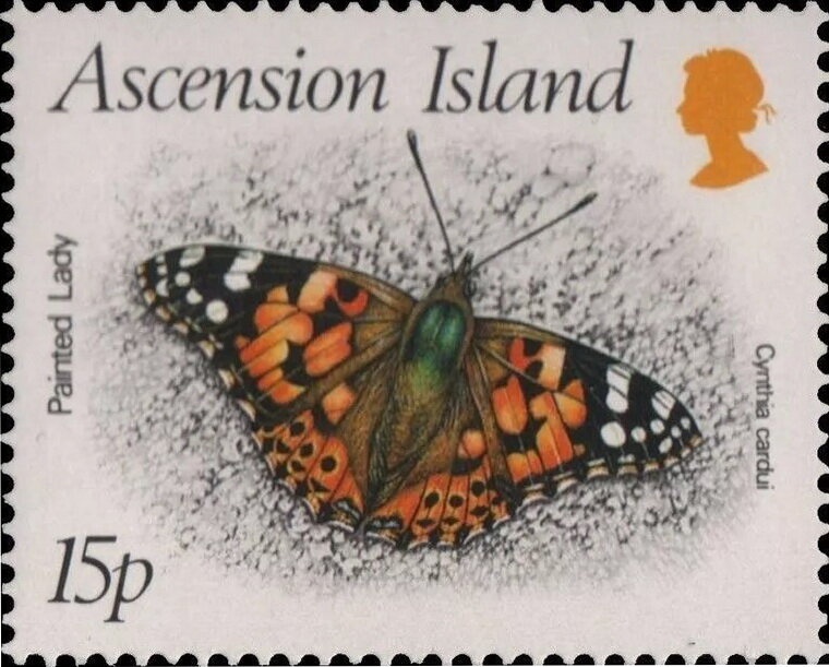 E. J. Eyre, Explorer - I(L)