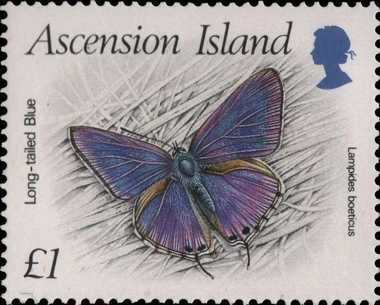 Aborigine, white paper