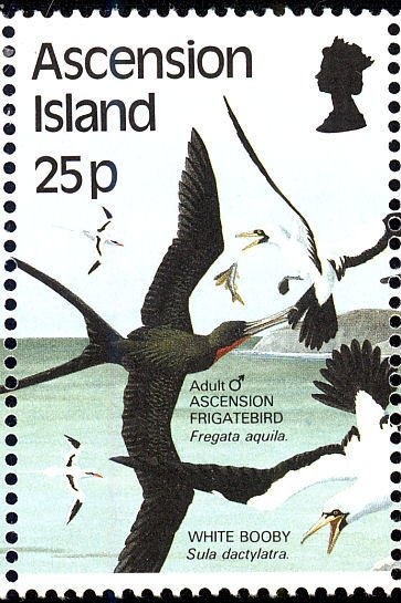 Sculpture and Paintings