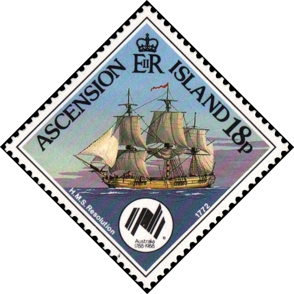 Broomtail Filefish (Aluterus scriptus)