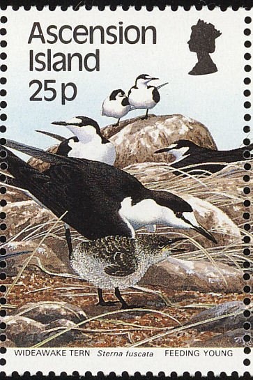 King George V - Die I