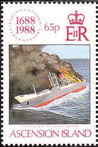 Spearmint (Mentha spicata)