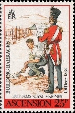 Smallmouth Grunt  (Haemulon chrysargyreum)