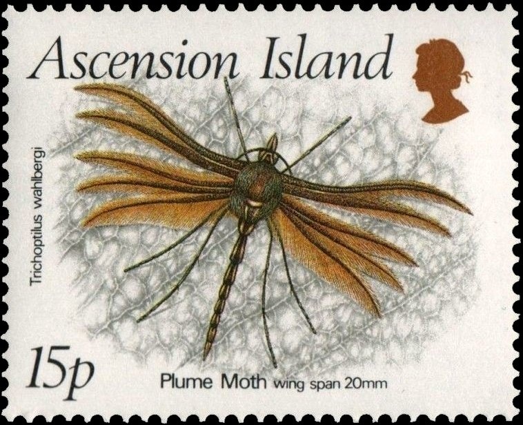 Apollo-Soyuz Link - Overprint