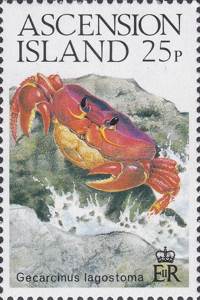 Gulf Fritillary (Agraulis vanillae)