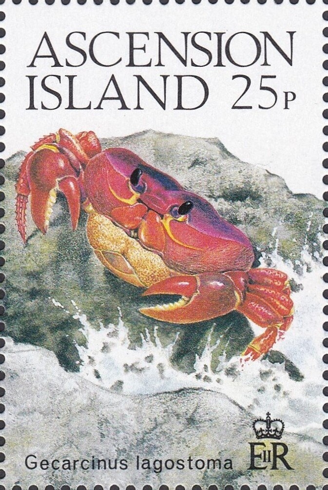 Caquetio petrography