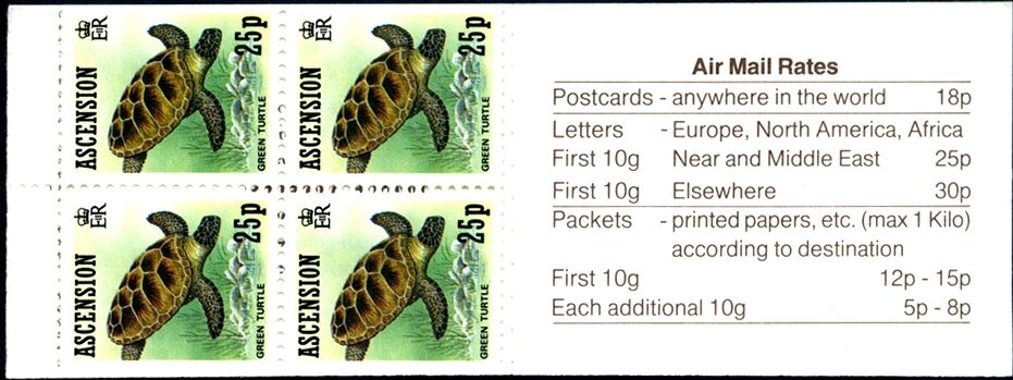 Yellow Canary (Serinus flaviventris)