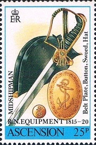 Ascension Island Frigatebird (Fregata aquila)