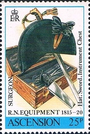 Madeiran storm petrel (Oceanodroma castro)