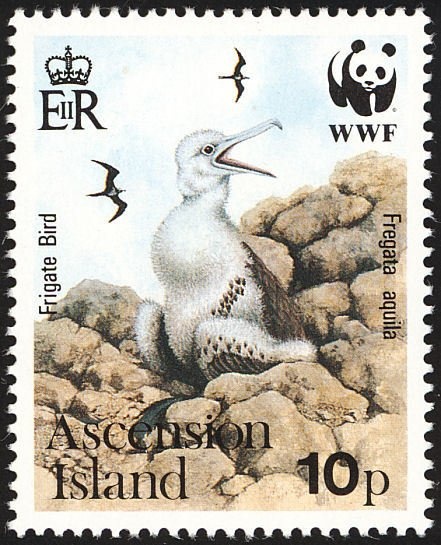 First England - Australia Flight