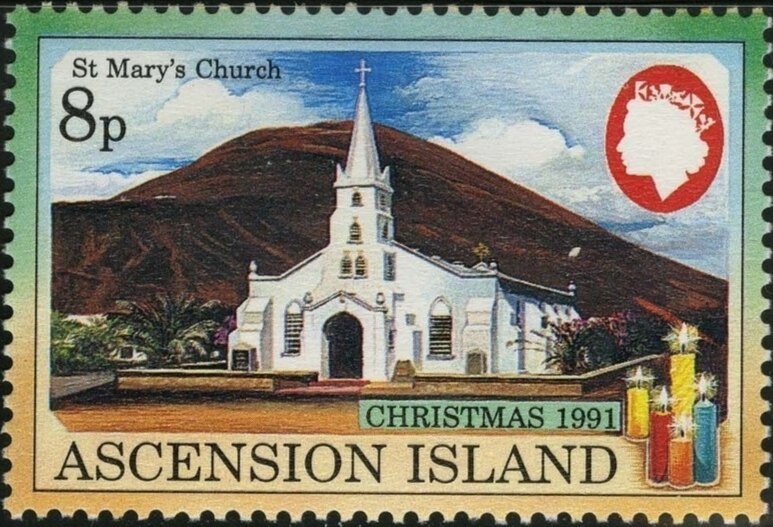 Maderian Storm Petrel (Oceanodroma castro)