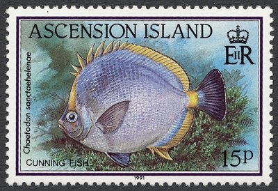Girl sitting among aloe plants