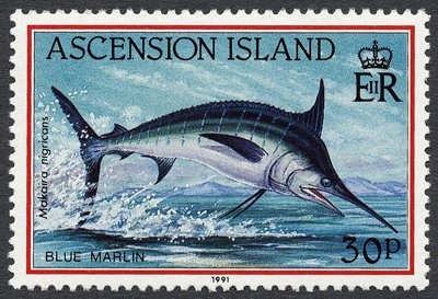 Mutawintji National Park, New South Wales Gutter Strip