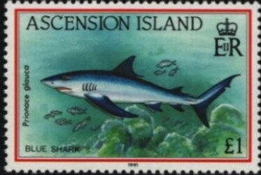 Albert Namatjira - Artist - ILB)