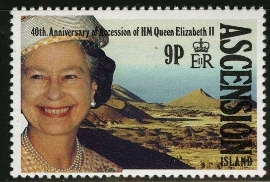 Block of 8, Domestic Cat (Felis silvestris catus)