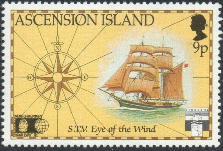 Mauve Stinger (Pelagia noctiluca)