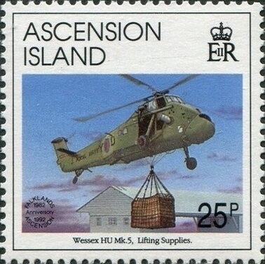 Weevil (Alceis ornatus)