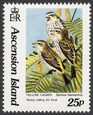 Primary Industries- Wheat