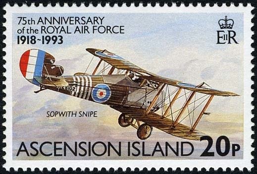 Harpy Eagle (Harpia harpyja)