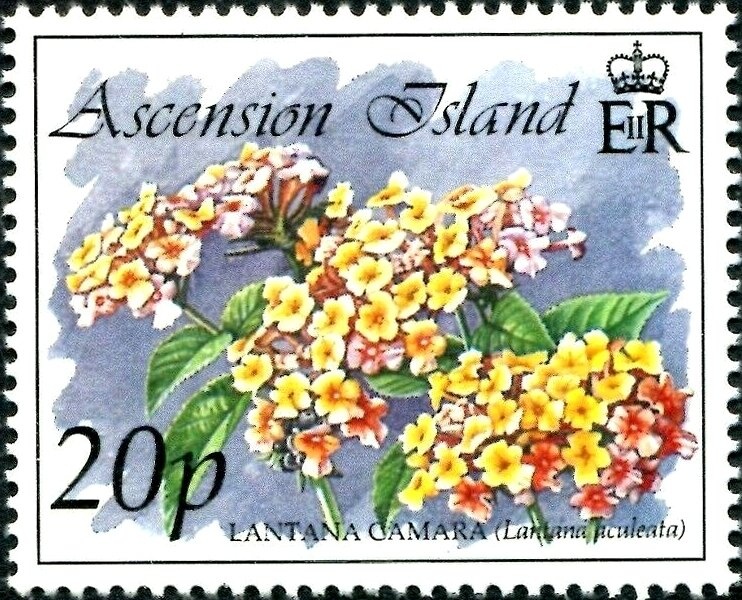 Prime Minister - Joseph Cook - I(LB)