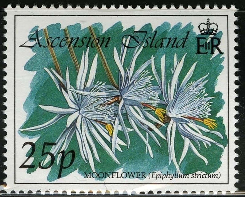 Perth to Adelaide Airmail Service