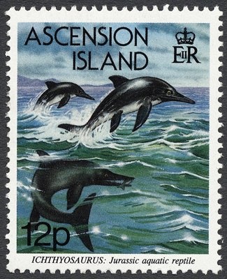 Fairy Tern (Gygis alba)