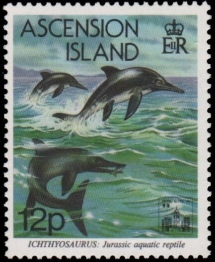 Platypus (Ornithorhynchus anatinus)