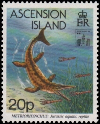 Nehemiah Grew (1641-1712), Grewia accidentalis