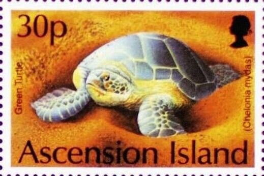 Year of the Rabbit 2023