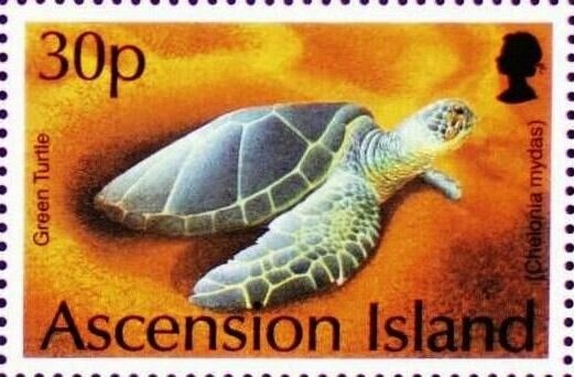 Decorated cunucu house